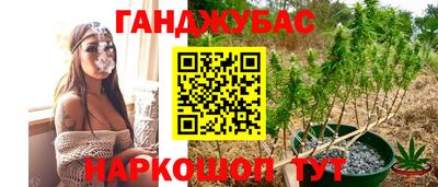 ГАЛЛЮЦИНОГЕННЫЕ ГРИБЫ Обь