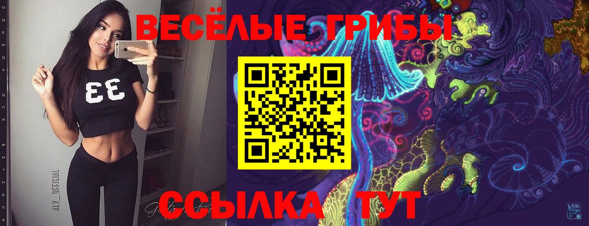 Псилоцибиновые грибы ЛСД  Вход с VPN  Сергиев Посад  цена   Псилоцибиновые грибы Cubensis 